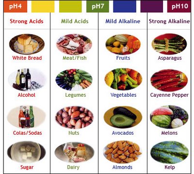 Acid and Alkaline Food